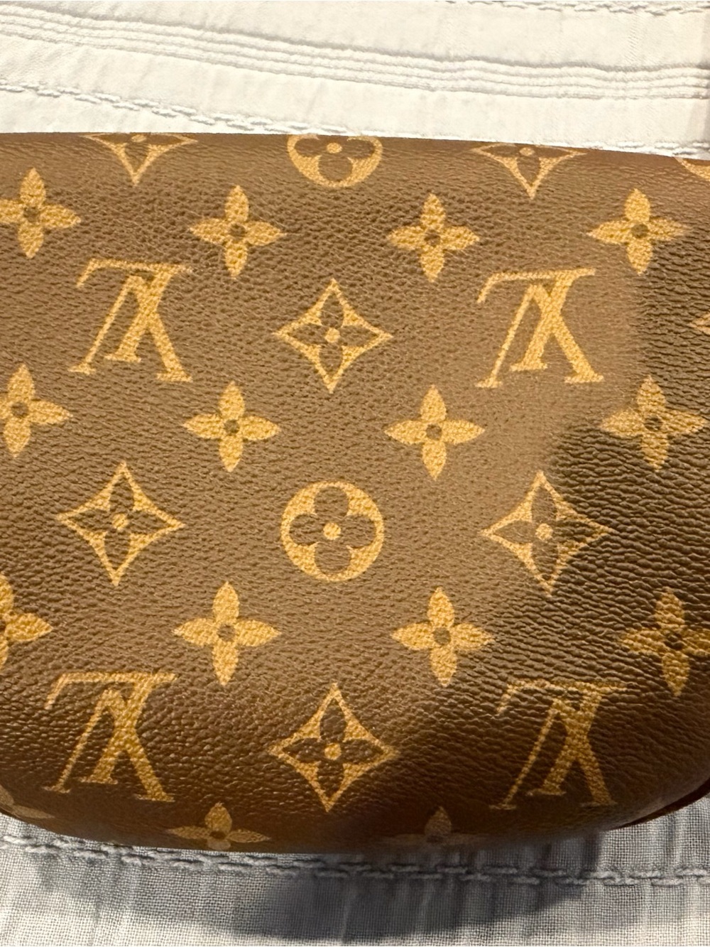 Louis Vuitton Monogram Mini Bumbag - Picture 4 of 13